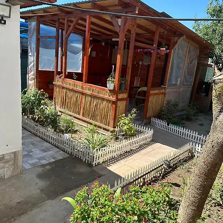 Guest house Casa Delia Vadu